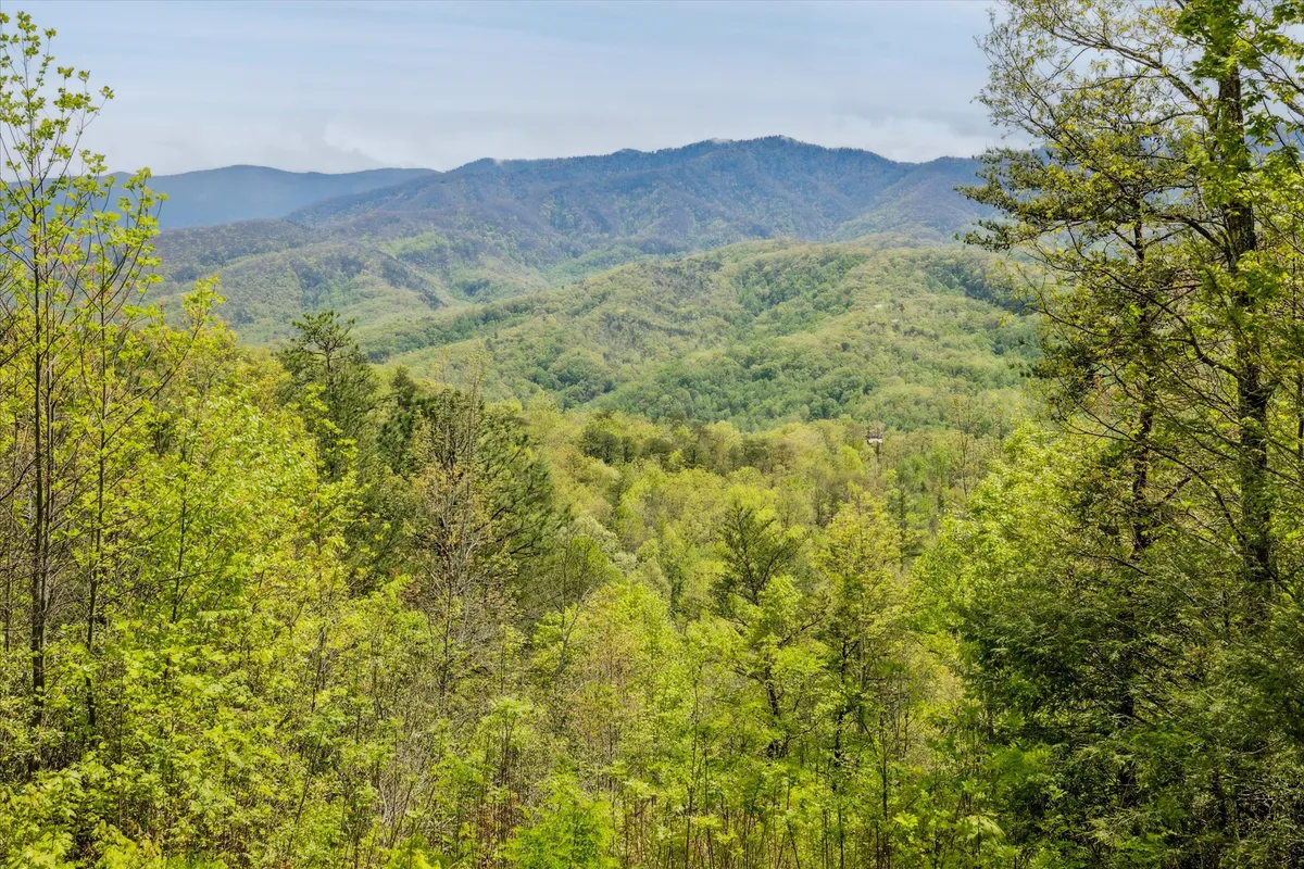 A sweeping view of rolling hills and a distant mountain range, surrounded by dense greenery. The sun is rising, bathing the landscape in a golden hue, and the entire scene feels peaceful and invigorating—inviting guests to step out and explore the Smoky Mountains.
