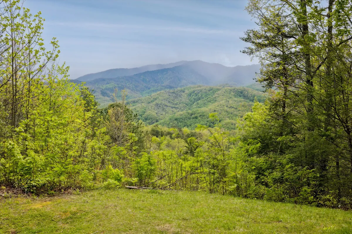 A sweeping view of the mountains and lush green landscape, with a wide open grassy area in the foreground. The scene captures the grandeur of nature, inviting activities such as hiking, birdwatching, or simply soaking in the tranquility.